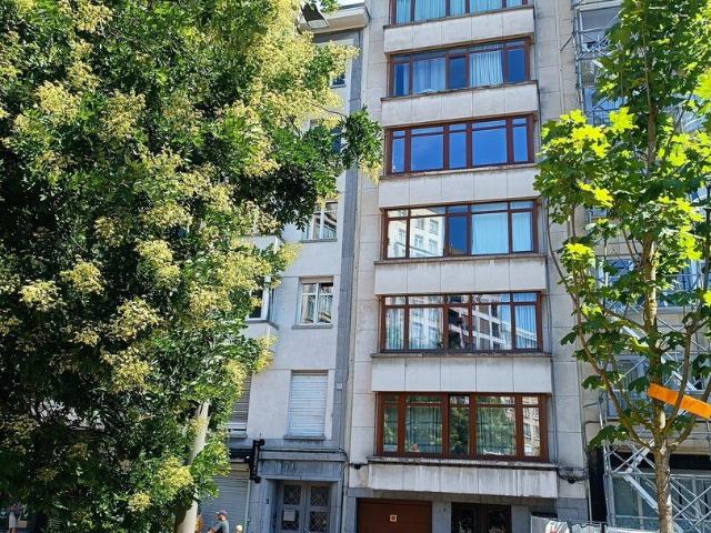 Ruim 3 slaapkamer appartement in Antwerpen aan Stadspark