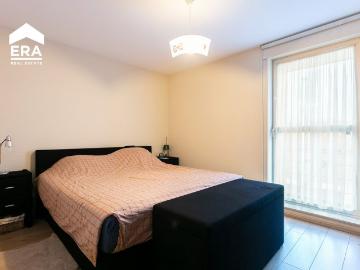 2323, Arrondissement de Turnhout, Province de Anvers, Flandre