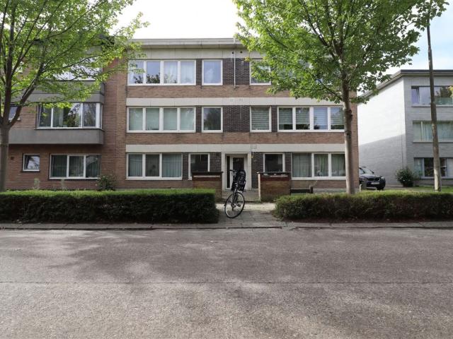 Ruim 3 slaapkamerappartement met terras