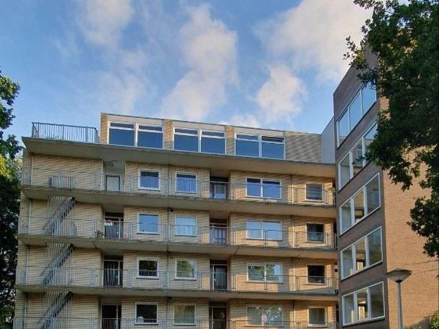Ruime en rustige kamer te huur