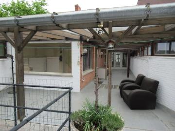 3800, Saint-Trond, Hasselt - Tuin, Kelder