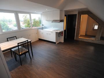 Ruime inwoning/woonruimte in Uden met dakterras