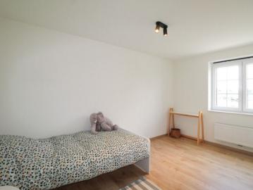 8800, Roeselare, Roulers, Flandre-Occidentale, Flandre