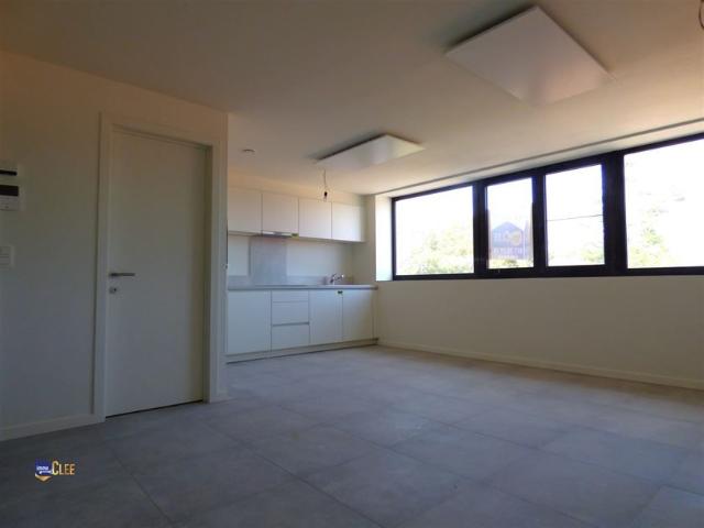 Ruime studio met keuken en badkamer