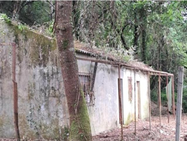 Ruina