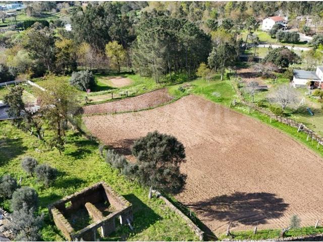 Ruina com charme e vistas campo Casa das Oliveiras
