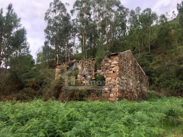 Ruína com terreno confinante com o rio em Figueiró dos Vinhos