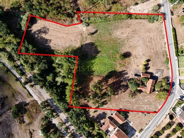 Ruína com terreno de 9900m2 em Liceia Montemor o Velho