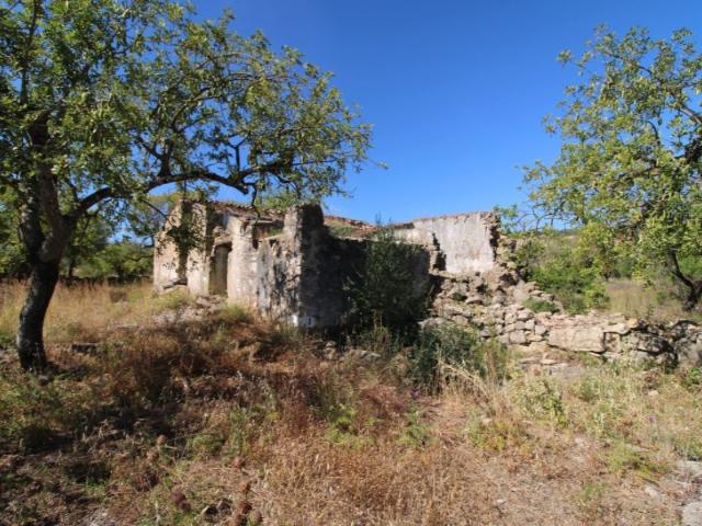 Ruína com terreno de 1,67 hectares