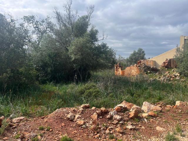 Ruina com terreno no Monte Branco S.B. de Messines