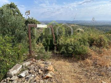 Ruína com Vista Panorâmica e Terreno em Moncarapacho