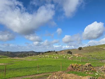Ruína com vistas panorâmicas no campo – Crie o seu próprio refúgio perto de Mértola