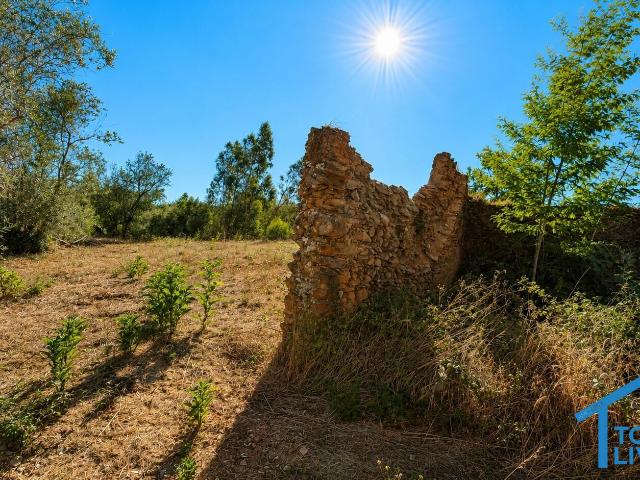 Ruína em Pedra com 880 m2 de Terreno Plano | Excelente Oportunidade de Reconstrução | Montes