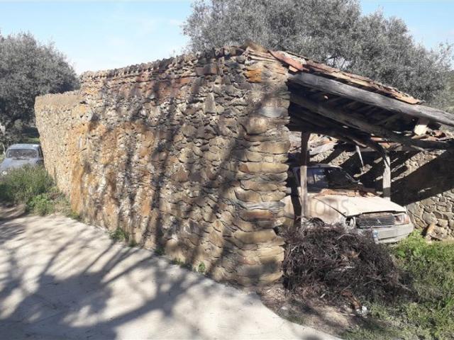 Ruina em São Miguel do Pinheiro