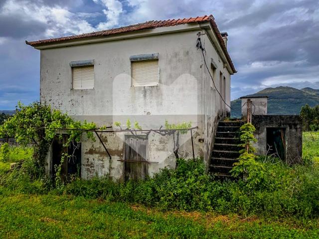 RUÍNA INSERIDA EM QUINTA COM PLANTAÇÃO DE ALVARINHO
