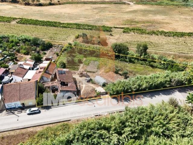 Ruína para Recuperação – Vale de Cavalos, Chamusca