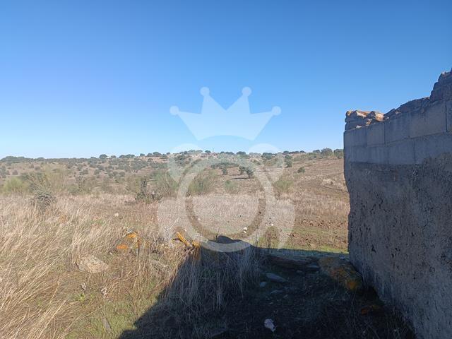 RUÍNA PARA RECUPERAR CERROS REGUENGOS DE MONSARAZ