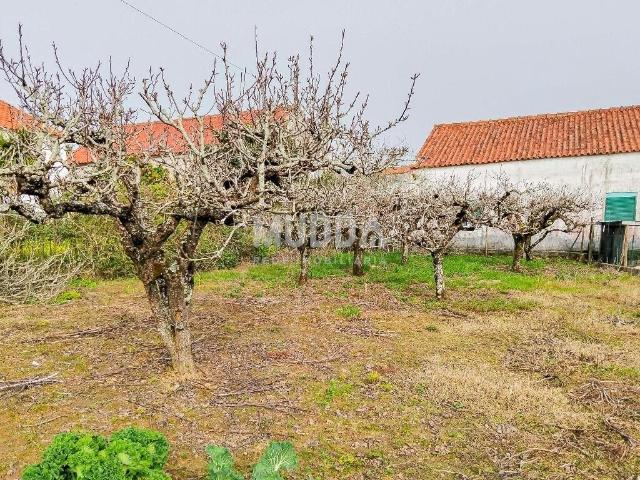 Ruína para recuperar com terreno de 1.050 m² poço e árvores. 62m² A Dos Negros