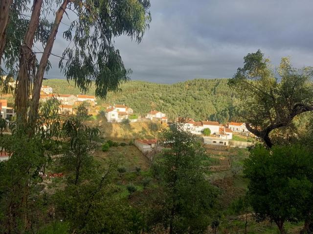 Casa para Reconstrução em Vila de Rei, Castelo Branco