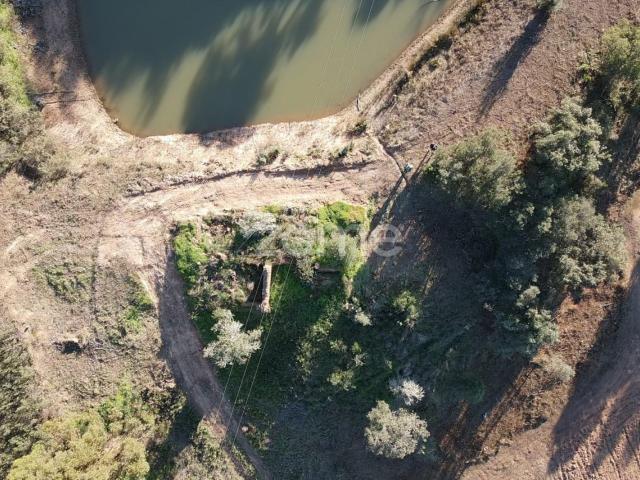 Ruína para recuperar em Ribeira de Arade, Messines + terreno