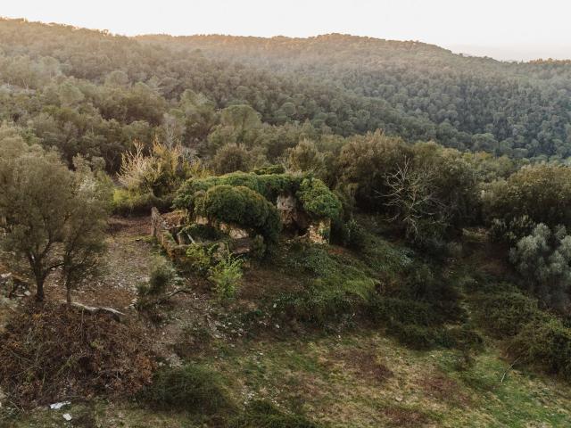 “Ruina para restaurar en 28 hectáreas con vistas abiertas al. 336m² Sant Sadurni de L'Heura
