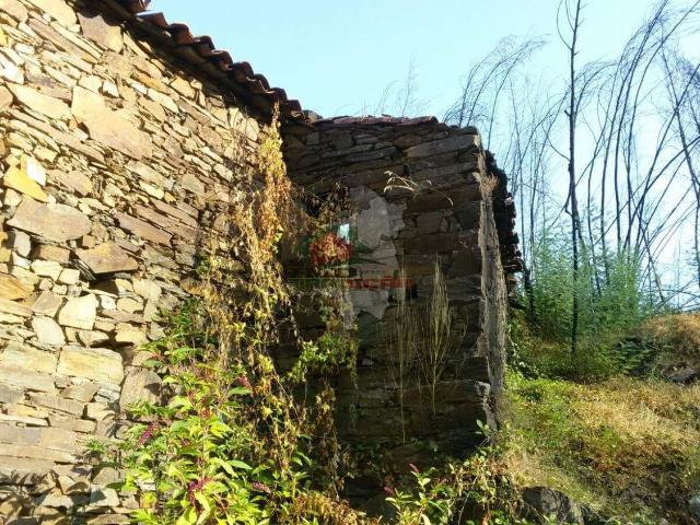Ruinas no Fundo do Boucinho
