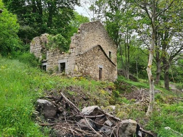 Ruine à réhabiliter sur la commune de Devesset