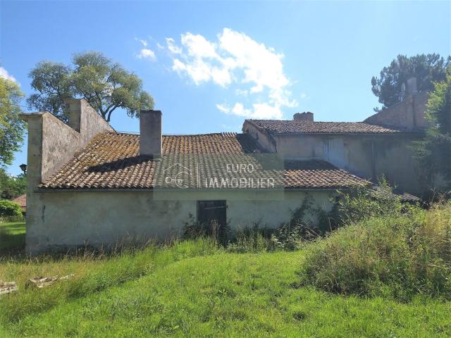 Ruine A Renover Gironde 33 Aquitaine 200m² Saint Côme