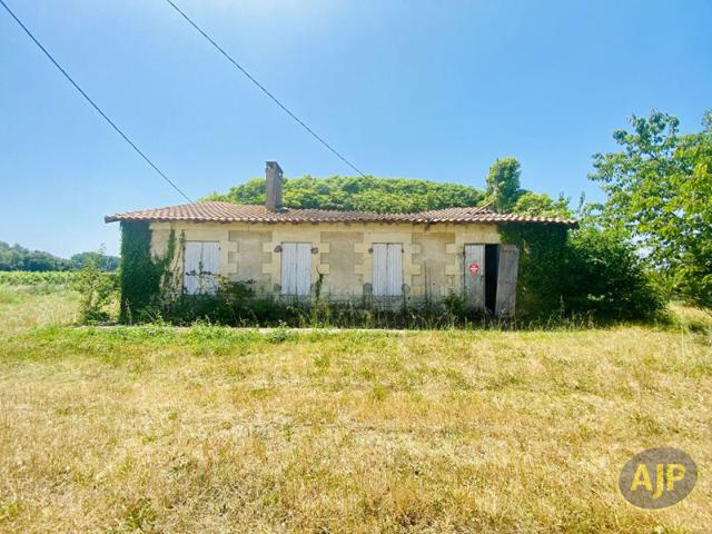 Ruine avec 1ha de terrain au milieu des vignes !