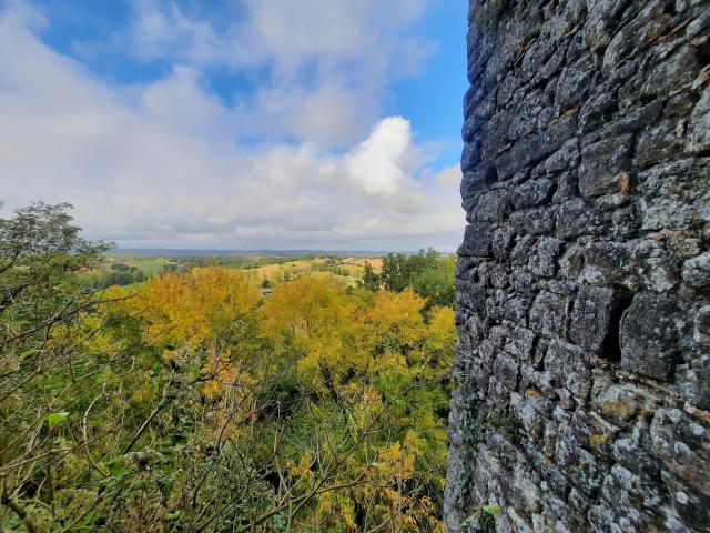Ruines d'un château du 13ème siècle au cœur d'une bastide 140m² Montastruc