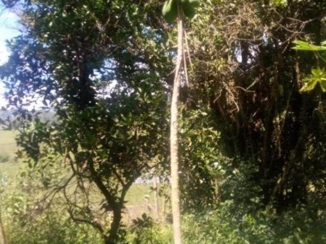 Rurais à venda em Taquara