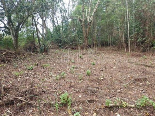 Rurais à venda em Ubatuba