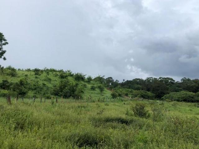 Rurais à venda em Zona Rural