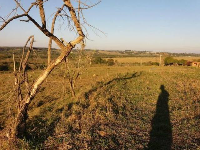 Rurais à venda em Alambari