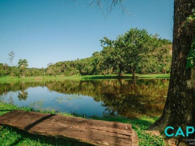 Rurais à venda em Antonina