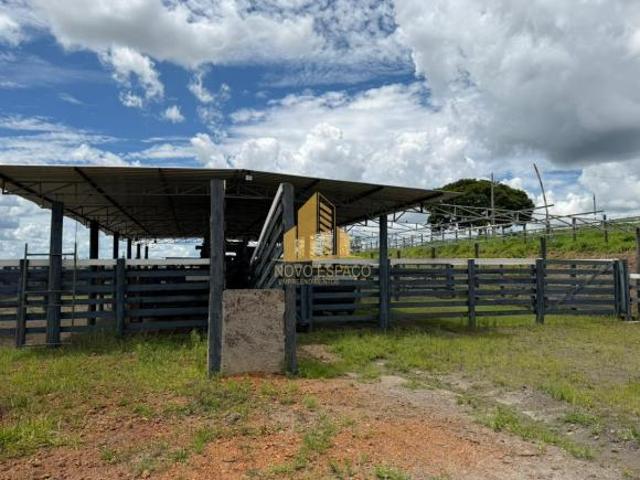 Rurais à venda em Araxá