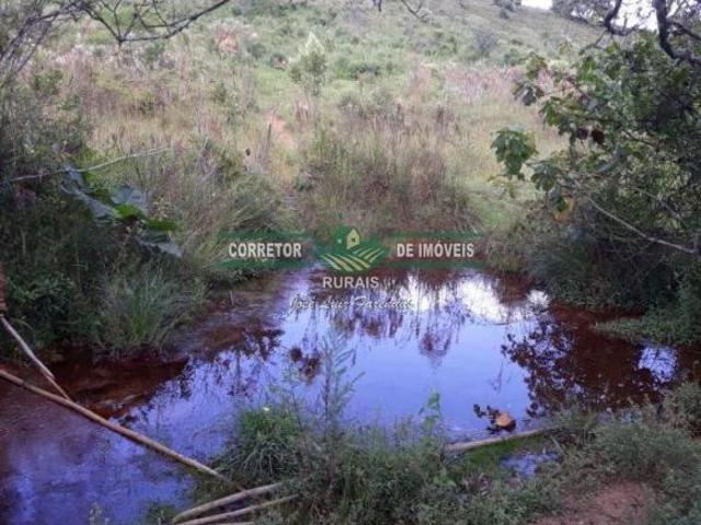 Rurais à venda em Arantina