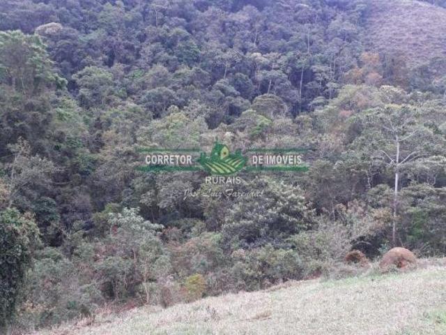 Rurais à venda em Arantina