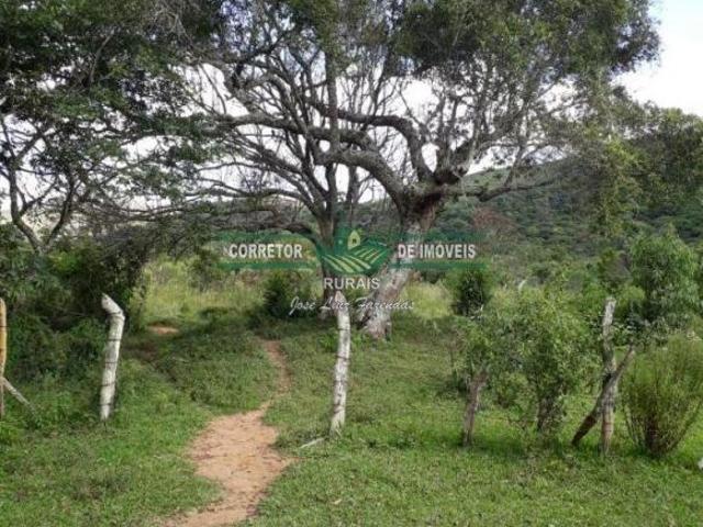 Rurais à venda em Arantina