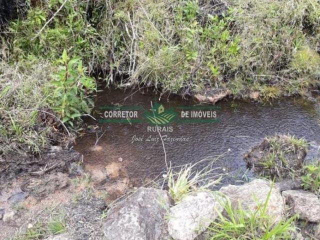 Rurais à venda em Arantina