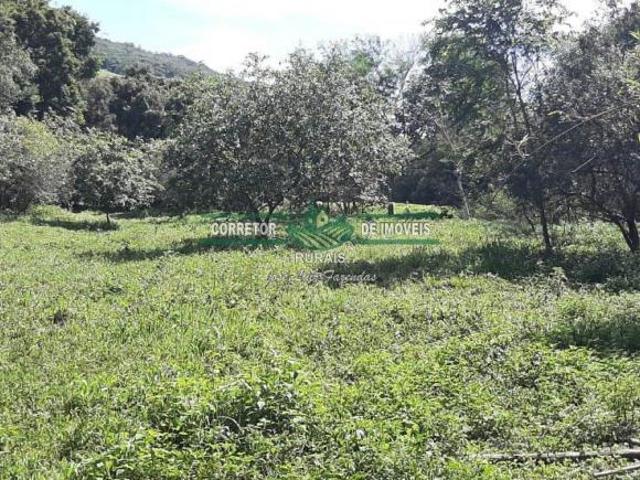 Rurais à venda em Baependi
