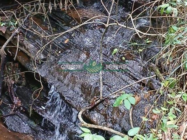 Rurais à venda em Baependi