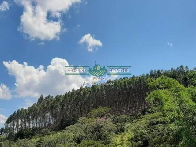 Rurais à venda em Baependi