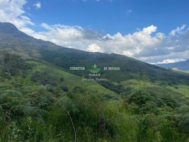 Rurais à venda em Baependi