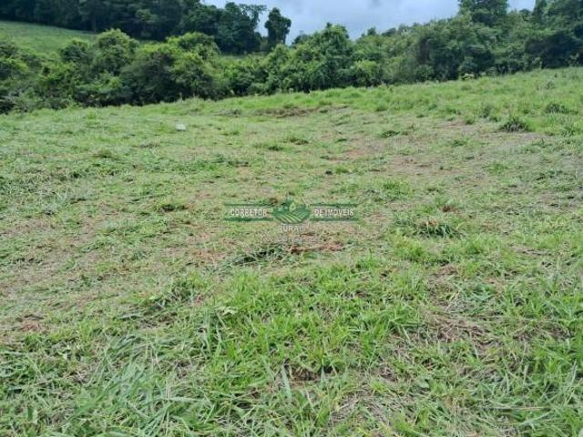 Rurais à venda em Baependi