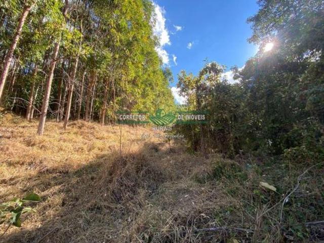 Rurais à venda em Baependi