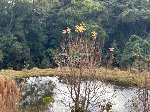 Rurais à venda em Baependi
