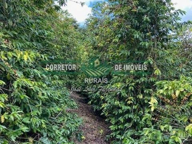 Rurais à venda em Baependi