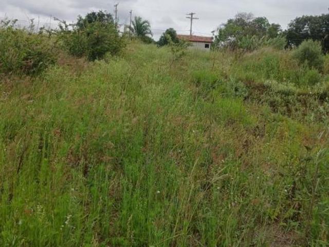 Rurais à venda em Barão de Antonina