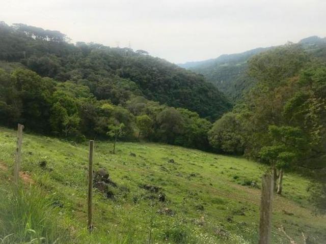 Rurais à venda em Barracão